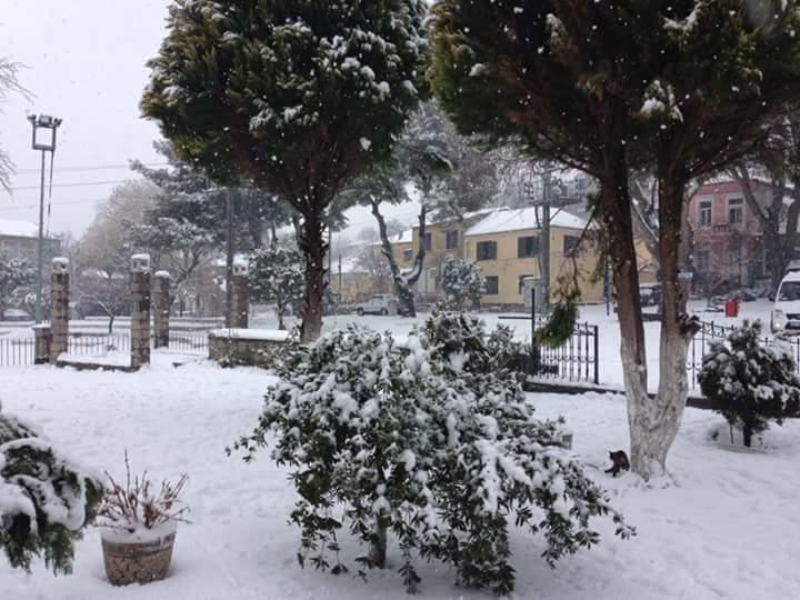 Elaia Hotel Bergama Εξωτερικό φωτογραφία