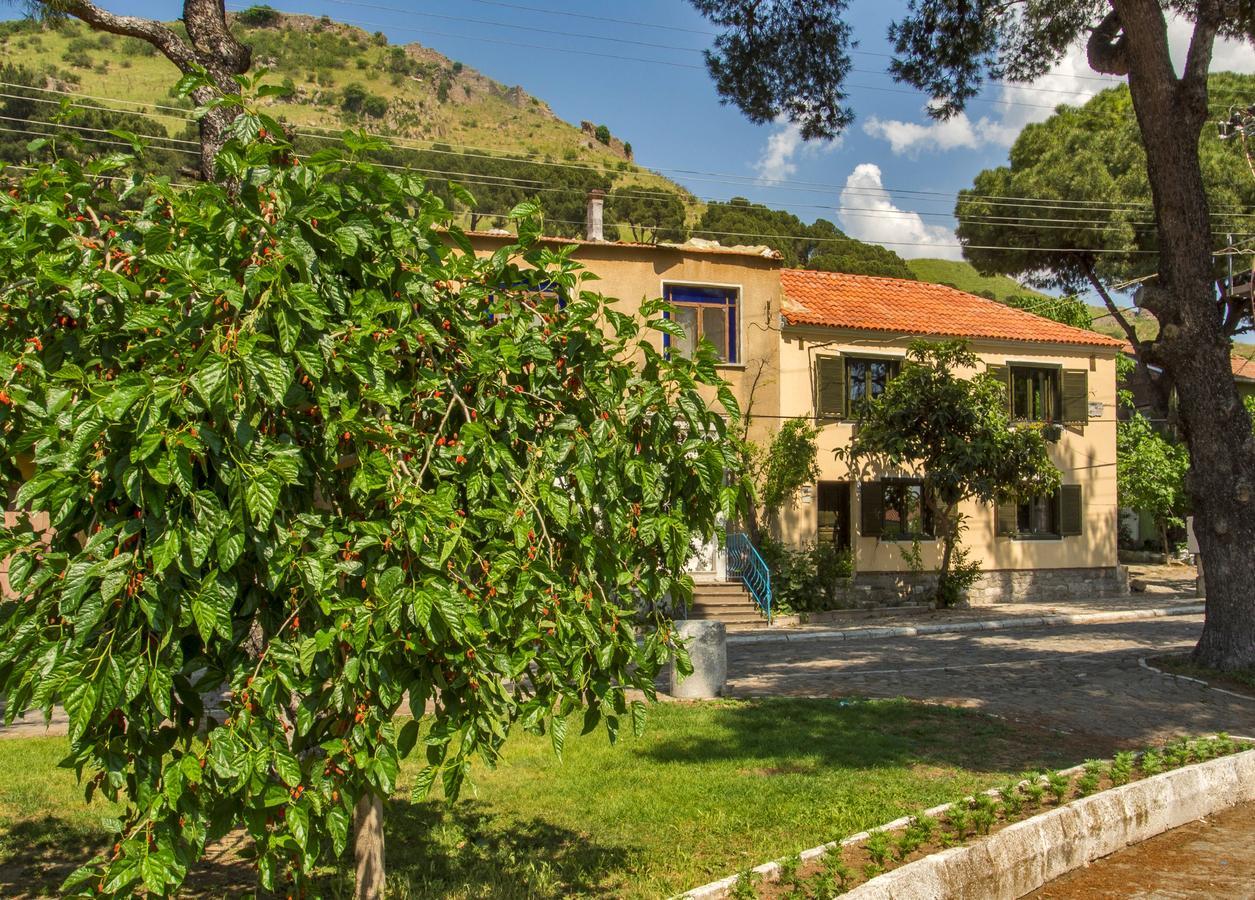 Elaia Hotel Bergama Εξωτερικό φωτογραφία