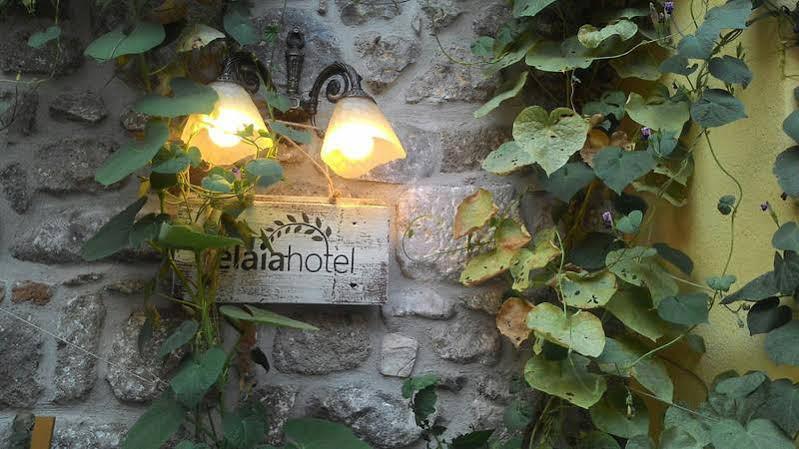 Elaia Hotel Bergama Εξωτερικό φωτογραφία